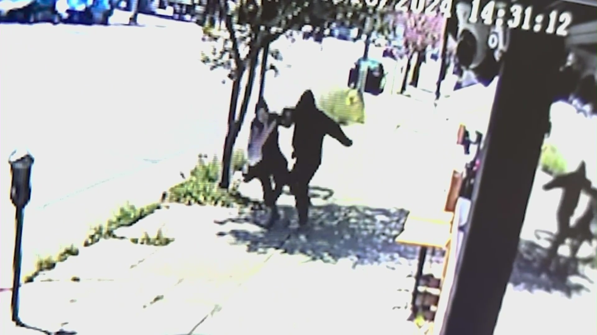 Surveillance image of the suspect